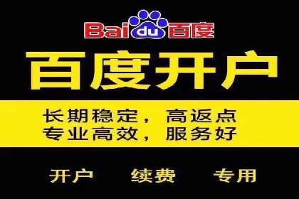百度搜索推广实战经验：经典案例启示录